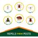 Repel 100 Insect Repellent Pump Spray 4oz - 10-Hour Protection | 1 Count - Buy Online on GoSupps.com