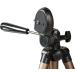 Amazon Basics 50-Inch Camera Mount Tripod Stand with Bag - Lightweight and Portable | 1-Pack - Buy Online on GoSupps.com