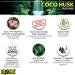 Premium Coco Husk Terrarium Substrate - Ideal for Vivid Plant Growth | International Shipping Available - Buy Online on GoSupps.com