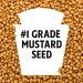 Heinz 100% Natural Yellow Mustard - 20 Oz Bottle | Buy Online Now! - Buy Online on GoSupps.com