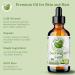 Bella Terra Oils - Cucumber Seed Oil 8 oz - Harness the Potent Nutritional Profile of Cucumber Loaded with Vitamin K & Biotin Luminous Skin Beckons 8 Fl Oz (Pack of 1) - Buy Online on GoSupps.com