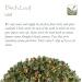 Organic Birch Tea Leaves - Dried Birch Leaf Tea 100g | Pure Birch Blade Tea | Eco-Friendly & Natural Herbal Brew - Buy Online on GoSupps.com