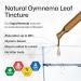 BIO KRAUTER Gymnema Sylvestre - Liquid Drops Gymnema Sylvestre Extract 530 mg per Serving 4 Fl.Oz 56-Day Supply - Pure & Vegan Gurmar for Overall Support & Daily Wellness - Alcohol & Sugar Free 4 Fl Oz (Pack of 1) - Buy Online on GoSupps.com