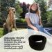 SOLACE BRACING Perfect Fit Neck Support - British Made - NHS Approved - Cervical Neck Collar Brace for Pain Relief - Black (19 x 3.5) - Buy Online on GoSupps.com