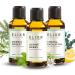 Elixr-3 Set Sauna infusion Alpine Herbs Nordic Forest & Lemon Eucalyptus-Sauna infusion agent for sauna infusions-sauna air as a perfect sauna gift (3x50 ml) 3-er set (alpine nordic lemon & eucalyptus)