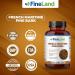 FineLand French Maritime Pine Bark 30:1 Extract Max Strength 450 mg Per Capsule Antioxidant 200 Veggie Caps of Pine Bark Supplement for 200 Days 100% Natural - Buy Online on GoSupps.com
