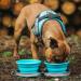Colapz Two Foldable Dog Bowls - Portable Water Bowl for Dogs - Travel-Friendly Folding Bowl with Case - 1 Piece - Buy Online on GoSupps.com