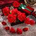 Red Rose Hair Clips Set - Elegant Flower Hair Accessories for Women and Girls - Perfect for Wedding, Dance, Birthday - Pack of 12 - Buy Online on GoSupps.com