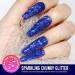 Teenitor Holographic Blue Chunky Glitter Mix + Primer for Face, Hair, Nail, Eye - 100g - Perfect for Makeup, Raves, Festivals, Resin, Tumblers - Cosmetic & Nail Art - Buy Online on GoSupps.com