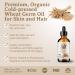 Organic Wheat Germ Oil 4oz - Bella Terra Oils | Vitamin E & C Face Oil for Natural Glow & Suppleness - Buy Online on GoSupps.com