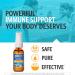 Sovereign Silver Bio-Active Silver Hydrosol Mist Spray 10 ppm - 1 fl oz (29 ml) - Immune Support - Buy Online on GoSupps.com