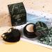 PHOERA Mushroom Air Cushion CC Cream - Full Coverage Foundation & Makeup Set | Kabuki Brush & Sponge Included - Buy Online on GoSupps.com