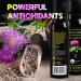 Activation Perfect Press Milk Thistle Oil - Pure Liquid Extract for Natural Detox & Heart Health - Non GMO Supplement - 100ml - Buy Online on GoSupps.com