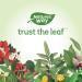Nature's Way Burdock Root Health Supplement 475 mg per serving TRU-ID Certified Non-GMO Project 100 Capsules - Buy Online on GoSupps.com
