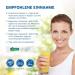 Magnesium Diasporal 400 Extra - Pure Magnesium Citrate Drinking Granulate 400mg per Stick 20 Sticks (167g) - International Shipping Available - Buy Online on GoSupps.com