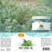 SPA REDI Exfoliating Scrub Pumice Gel Mint & Eucalyptus 16 oz - Hyaluronic Acid Infused Manicure Pedicure & Body Exfoliator - Buy Online on GoSupps.com