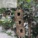 Hand-Woven Eco-Friendly Teardrop Bird Hut | Hanging Grass Bird House | 100% Natural Fiber | Shelter from Cold Weather - Buy Online on GoSupps.com