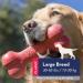 KONG Goodie Bone for Large Dogs - Durable Rubber Chew Toy & Snack Holder - Red - Buy Online on GoSupps.com