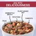 Gardein Plant-Based Be'f and Country Vegetable Soup  15 oz. - Buy Online on GoSupps.com