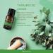 SpaRoom Breathe Easy Essential Oil Blend - 10ml (0.33 fl oz) - Made in USA - Buy Online on GoSupps.com