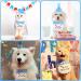 EUOOVM Cute Birthday Bandana Set for Dogs & Cats | Pet Birthday Decorations for Boys & Girls | Kitten Birthday Hat - Buy Online on GoSupps.com