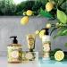 Panier des Sens Provence Hand Cream with Shea Butter and Olive Oil - 2.6floz/75ml - Buy Online on GoSupps.com