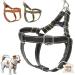 Dogissimi dog harness for small and medium-sized dogs adjustable and ergonomic dog harness made of real leather handmade in Italy leather dog harness (L black) L (chest 52-69 cm) black