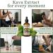 PRIMO KAVA Kava Drops | Water Soluble Kava Extract | Concentrated Tincture Beverage Enhancer | Authentic Kava Kava from Fiji | 40mg Kavalactones | Certified 3rd Party Testing | 1oz - Buy Online on GoSupps.com