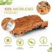 Vogelgaleria Cork Seating Board for Birds - Wellensing 20x10 cm | Ideal Cage Accessory & Toy for Nymphic & Parrots - Buy Online on GoSupps.com