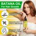 Batana Oil for Hair Growth 120ml Raw Batana Oil Organic from Honduras - for Thicker & Stronger Hair Scalp and Hair Oil Men & Women All Hair Types - Buy Online on GoSupps.com