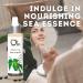 Ola Rainforest Scented Deep Sea Mist - 2 Fl Oz Rainforest 2 Fl Oz (Pack of 1) - Buy Online on GoSupps.com