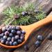 Nim's Juniper Berries 100g - Buy Online on GoSupps.com