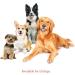 Milk-Bone Flavour Snacks Dog Biscuits Medium Sized Dog Treats Assorted Flavours 2kg Boxes (Pack of 6) Medium dog 2Kg (Pack of 6) - Buy Online on GoSupps.com