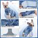 Kuoser Postoperative Dog Recovery Suit | Wound Protection & E-Collar Alternative | Soft Breathable Anti-Lick Puppy Shirt - XL Blue - Buy Online on GoSupps.com