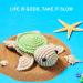 Fiberivore Crochet Kit: Beginners Animal Amigurumi Crochet Kit for Adults and Kids - Terry The Turtle with Video Tutorials - Buy Online on GoSupps.com