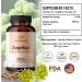 HERBAMAMA Angelica Capsules - Digestive Health, Heart & Blood Circulation Support - for Women with Dong Quai Root - Gluten Free, Vegan, Non-GMO - 1000mg 100 Caps - Buy Online on GoSupps.com
