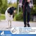 Happyshephie Adjustable Dog Leash 2.5m - Durable Reversible Double Leash for Medium & Large Dogs - Ruby Red - Buy Online on GoSupps.com