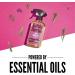 Aunt Fannie's Ant Remedy Spray - 16.9 fl oz Direct Formula for Effective Ant Control - Buy Online on GoSupps.com
