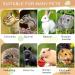 6-Piece Wooden Hamster Toy Set | Safe & Fun Hiding Houses for Hamsters Chinchillas Guinea Pigs & Rabbits - Buy Online on GoSupps.com