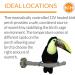 K&H PET PRODUCTS Thermo-Perch Heated Bird Perch Gray Medium 1.25 X 13 Inches Medium 1.25 X 13 Inches Recyclable Box - Buy Online on GoSupps.com