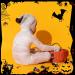 6 Rolls Halloween Gauze Bandage Wrap Kit - Mummy Costume Accessories Breathable White Gauze Rolls for Dressing Ankles & Knees - Includes 1 Tape 3 Sizes - Buy Online on GoSupps.com