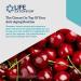 Life Extension Youthful Collagen Cherry Gummies - 80 Count for Healthy Skin & Joints - Buy Online on GoSupps.com