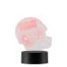 FOCO Cleveland Browns NFL Helmet Desk Light