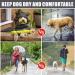 Waterproof Dog Coat with Hood & Dishes for Small to Medium Dogs | Reflective Windproof Rain Jacket - Mosucoirl - Buy Online on GoSupps.com