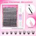wiwoseo Fluffy Cluster Lashes Kit - Natural Look Russian Lash Extensions with Bond & Seal Glue (0.07D Volume, 9-16MM) - Buy Online on GoSupps.com