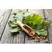 Oak Bark Tea | Quercus L | corce De Ch ne Tisane | Health Embassy (50g) - Buy Online on GoSupps.com