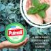 Pulmoll Display x24 | Mini Format 20g | Since 1946 (Eucalyptus Mint) - Buy Online on GoSupps.com