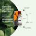 SUPERDIET - TURMERIC PIPERIN ORGANIC - Joints - Herbal medicine - Made in France - 45 capsules - Buy Online on GoSupps.com