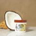 Garnier Fructis Nourishing Treat 1 Minute Hair Mask with Coconut Extract - 3.4 fl oz - Buy Online on GoSupps.com