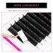 TDANCE Premium D Curl Eyelash Extensions 0.05mm + Ellipse Flat Lashes 0.15 D Curl 8-15mm - Mixed Lengths - Buy Online on GoSupps.com